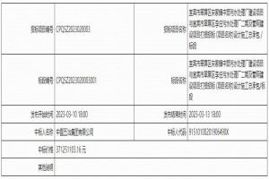 中國五冶集團中標(biāo)宜賓市翠屏區(qū)宋家鎮(zhèn)中部污水處理廠建設(shè)項目與宜賓市翠屏區(qū)李莊污水處理廠二期及管網(wǎng)建設(shè)項目